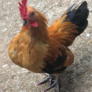 Meet your Posher, Jorge